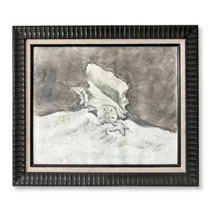 Handmade FRAMED Shell Starfish Sand Dollar Beach Art Drawing Illustration Art